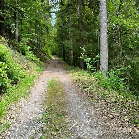 Naturpark Schwarzwald Homestay Neubulach