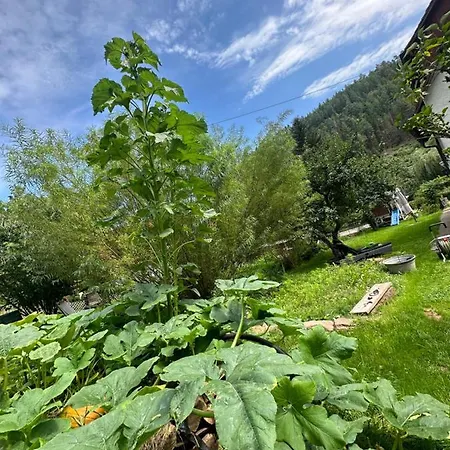 Homestay Naturpark Schwarzwald *