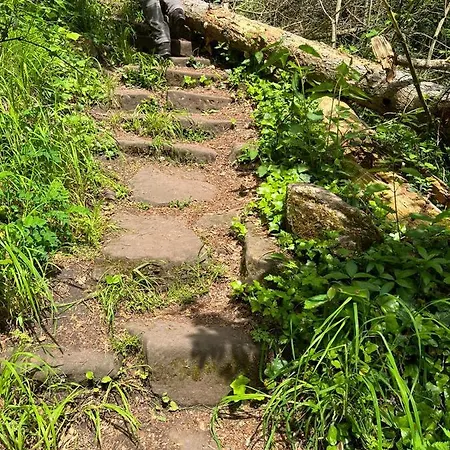 Naturpark Schwarzwald * Neubulach