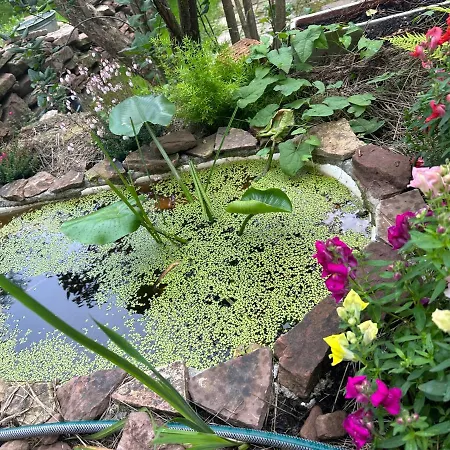 Naturpark Schwarzwald Homestay