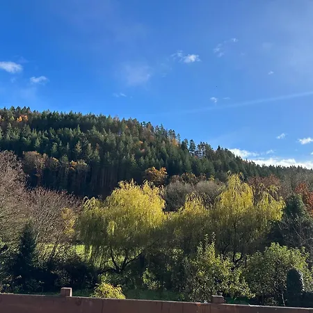 Naturpark Schwarzwald Homestay